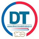 Dirección del Trabajo logo